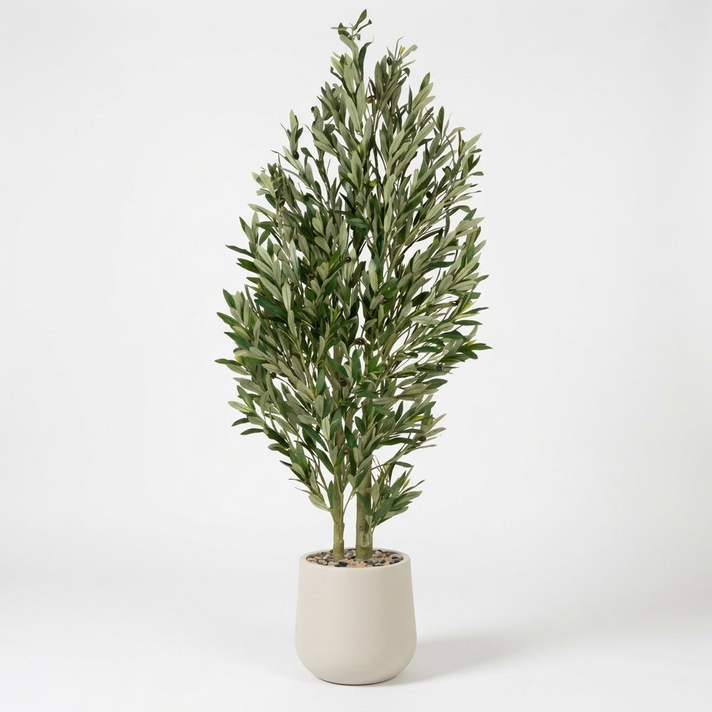 Olive Tree - Beige Pot - 155 cm