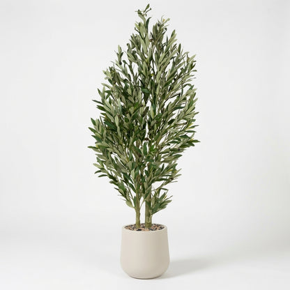 Olive Tree - Beige Pot - 155 cm