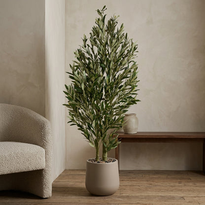 Olive Tree - Beige Pot - 155 cm