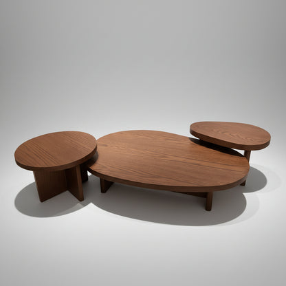 Wooden coffee table set on a white background