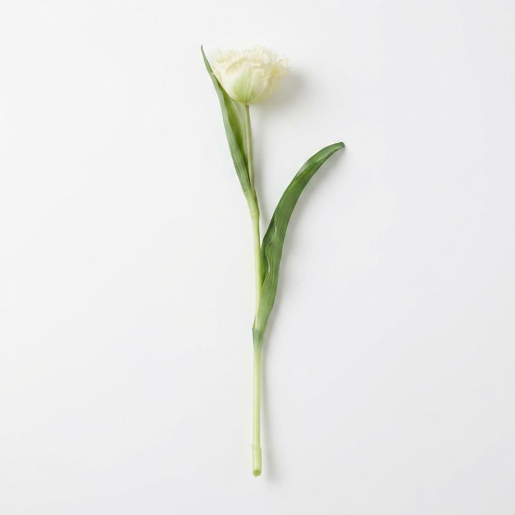 erpnext-original-source:https://erp.msquarebh.com/files/white_008.jpg